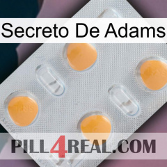 Adams Secret 24